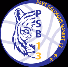 logo SALON-DE-PROVENCE
