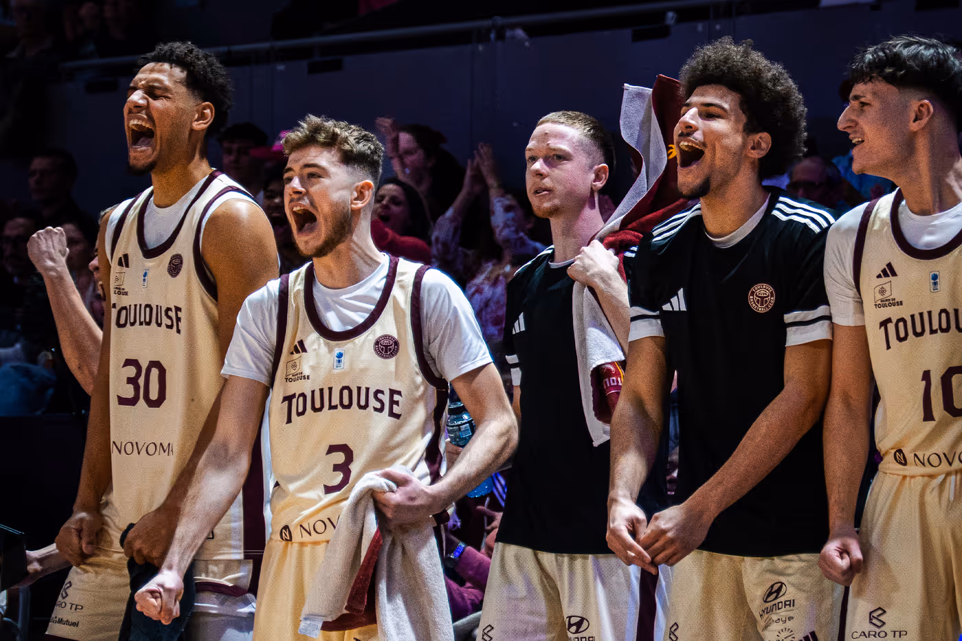 Article   Toulouse N M1