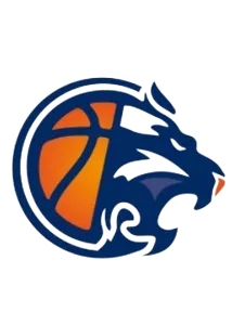 OUEST LYONNAIS BASKET