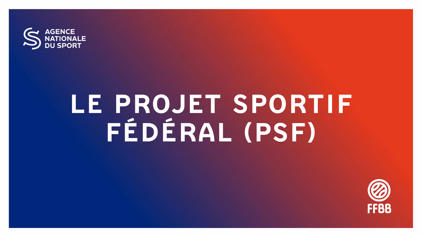 Illustration Newsletter Psf 2024